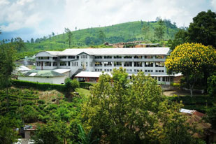 Radella Estate