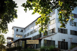 Poronuwa Estate